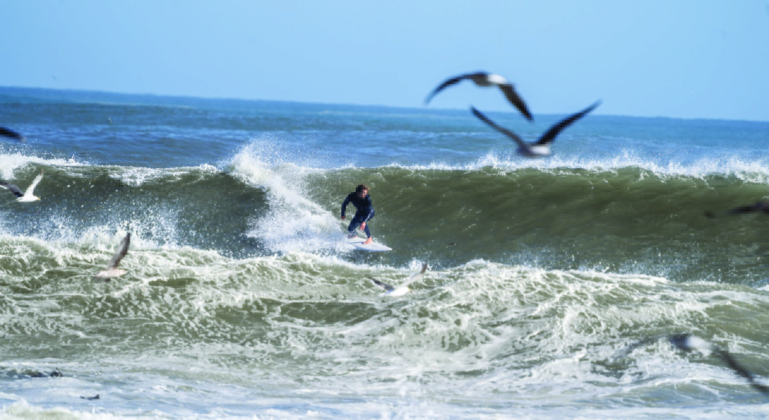 82e8029c63441a080215659a6c41358141c57022